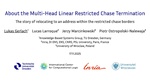 Slides: About the Multi-Head Linear Restricted Chase Termination